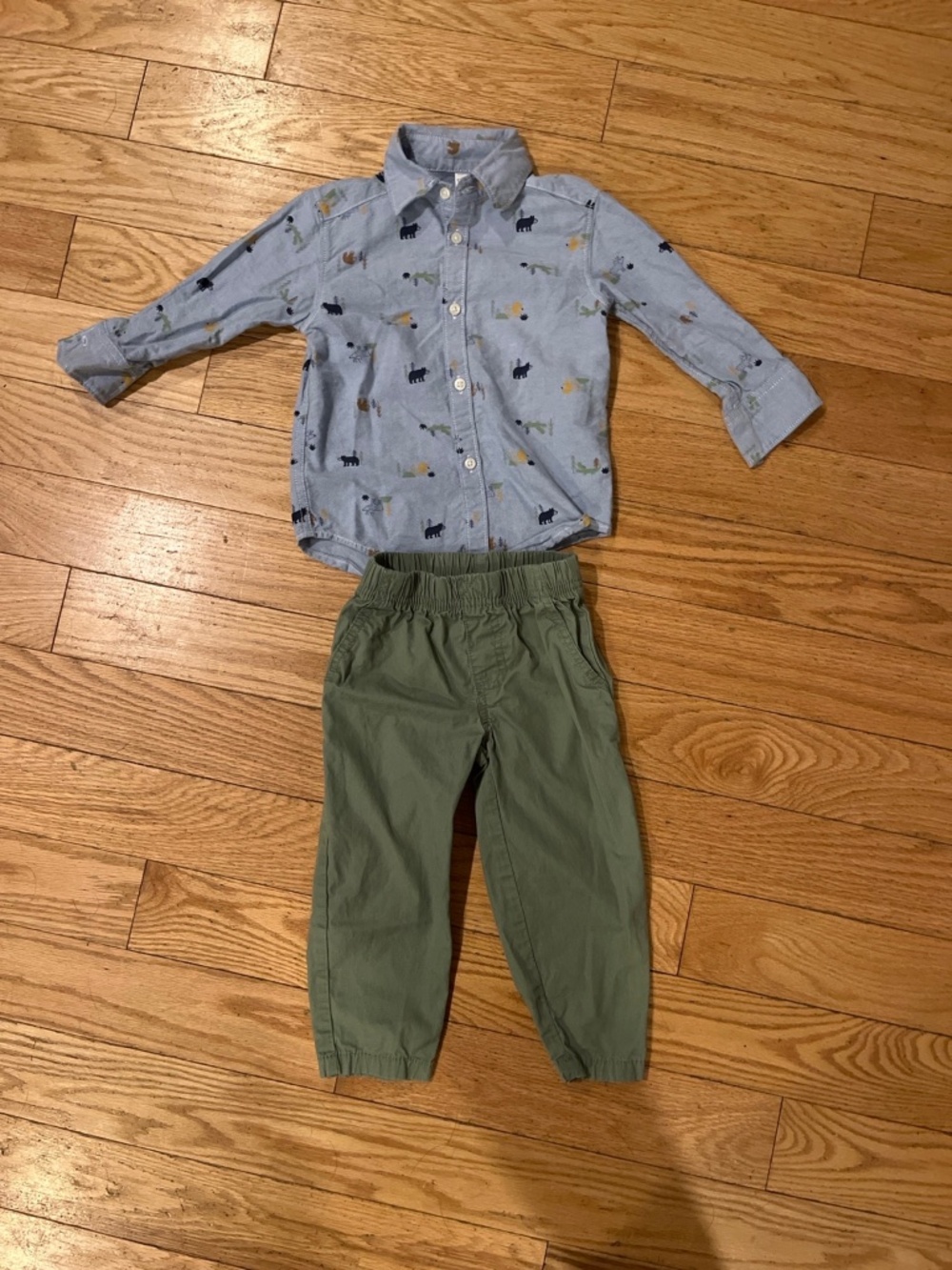 Carter’s 2T Boys 2-Piece Outfit – Animal Button Down + Green Pants